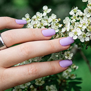 NAILS BLOOM INC gallery